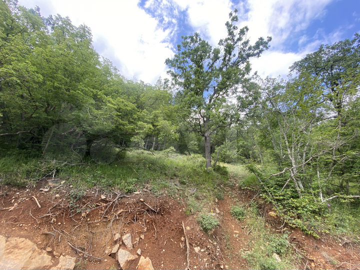 Участок 15 сот. (ИЖС)