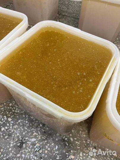 Донник свежий опт