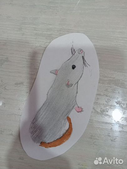 Рисую ваших питомцев