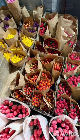 Тюльпаны к 8 марта оптом