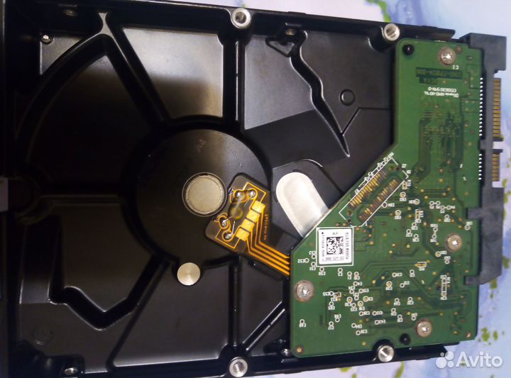 Hdd WD blue 3.5 1 TB