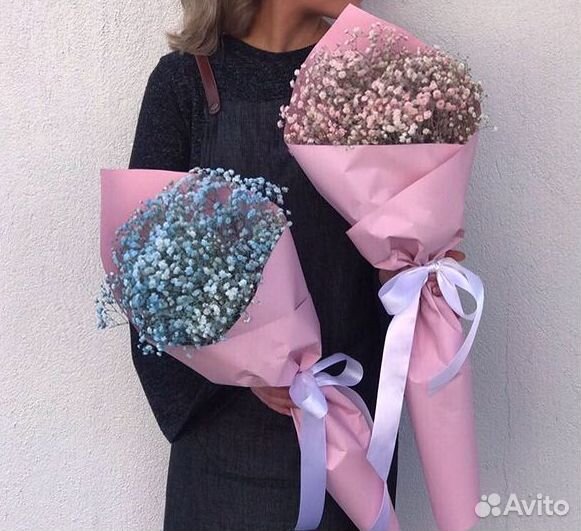 Гипсофила разных цветов