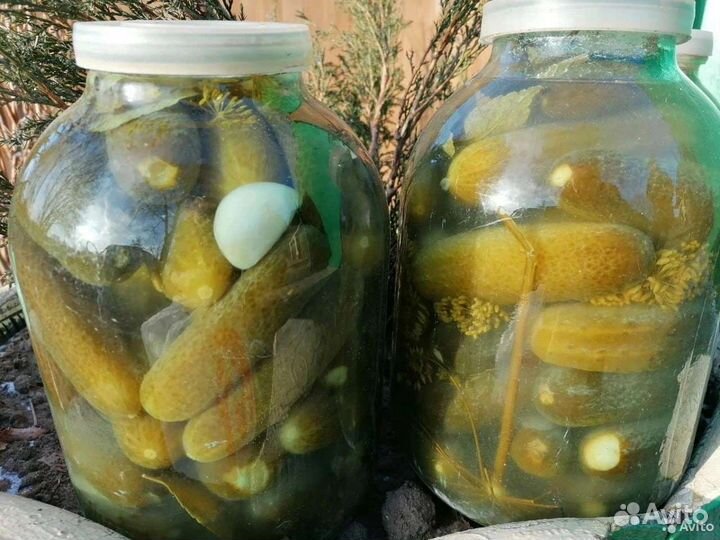 Солёные хрустящие огурчики из своего огорода