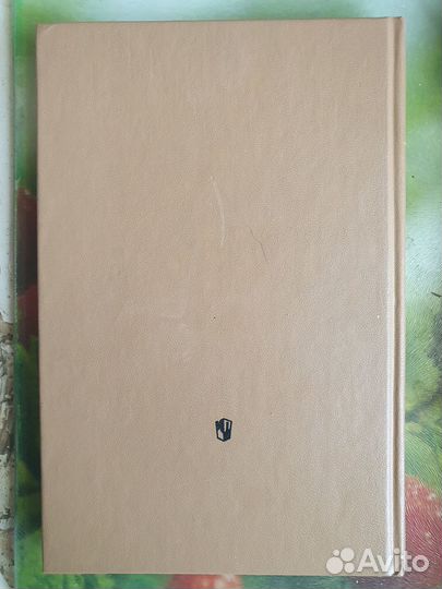 Ростовцев: Академический рисунок