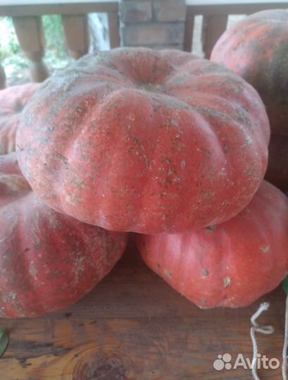 Тыква на хэллоуин