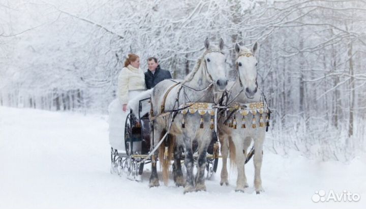 Аренда кареты 