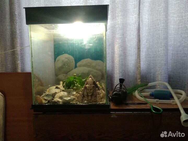 Аквариум для рыб полный комплект