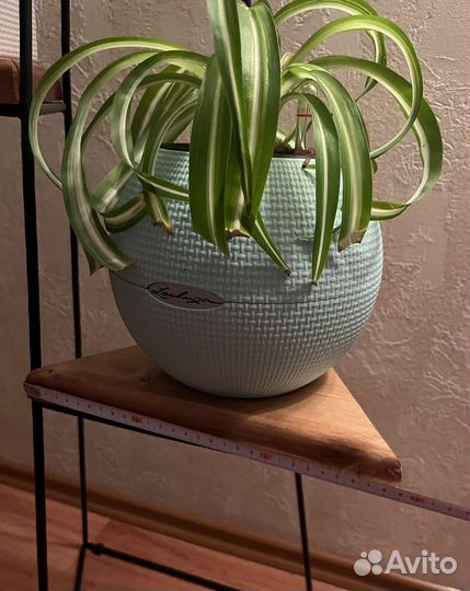 Подставка для цветов лофт