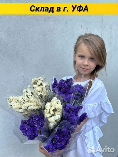 Статица стабилизироанная