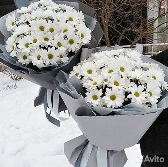 Доставка букетов и цветов. Хризантема