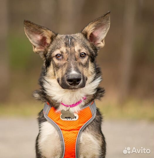 Сказочный Кай ищет любящую семью