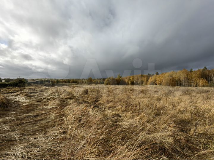 Участок 8,9 сот. (СНТ, ДНП)