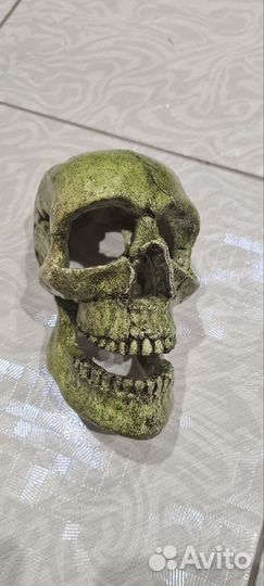 Декор для аквариума