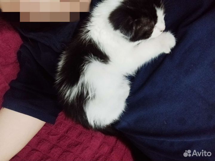 Красивая малышка кушает, лоток знает