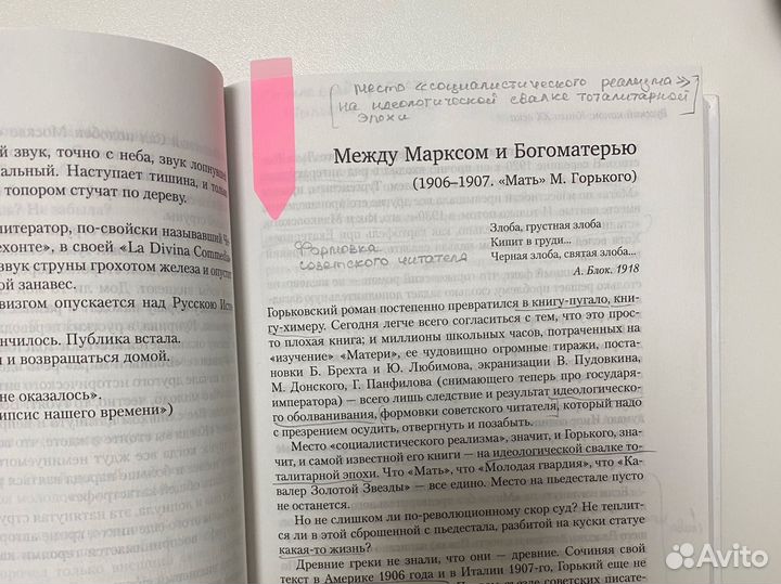 Игорь Сухих Русский канон: Книги 20 века