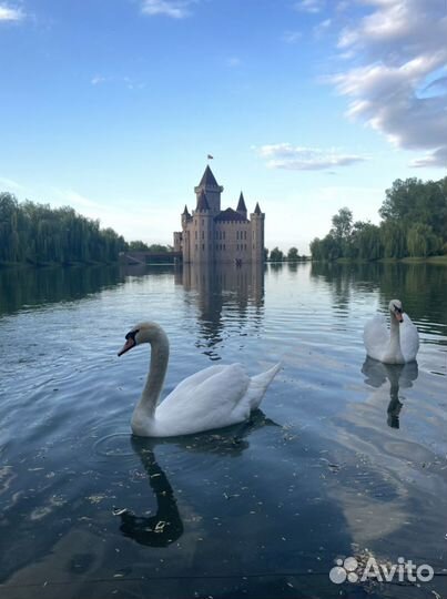 Трансфер, Экскурсий, Джип туры, Такси