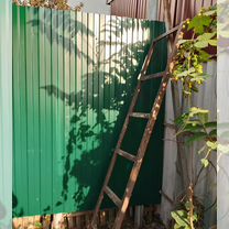 Дом 50 м² на участке 3,1 сот.