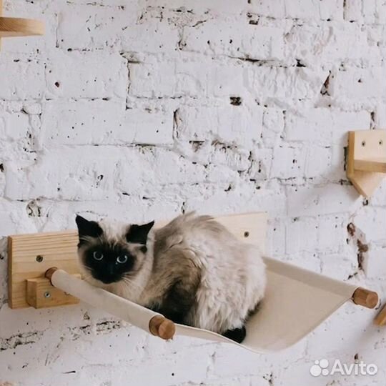 Настенный комплекс для кошек