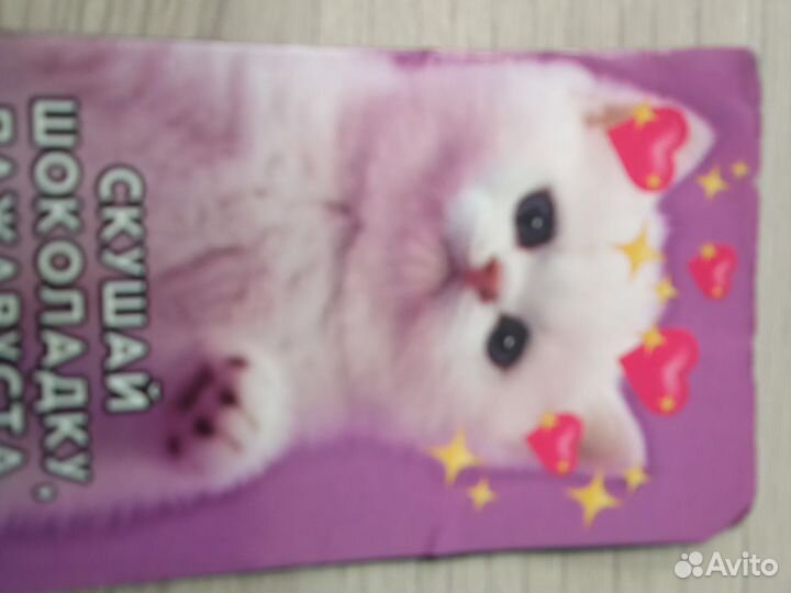 Кот сталина