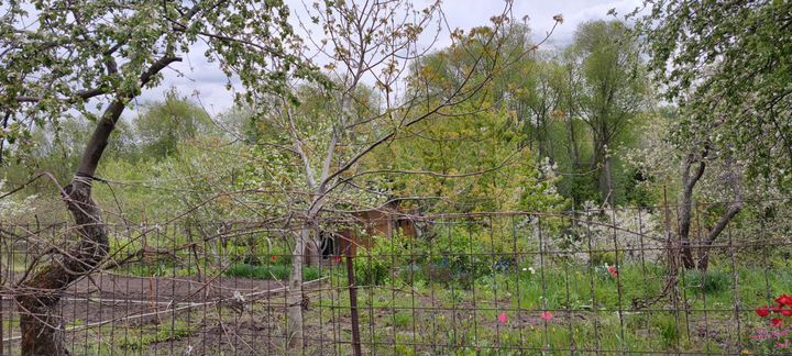 Дача 41 м² на участке 7 сот.