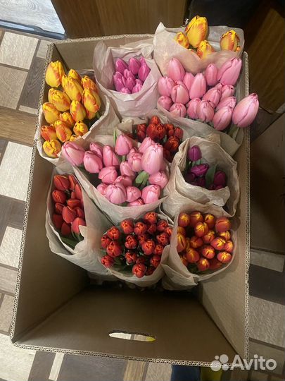 Тюльпаны с луковицей