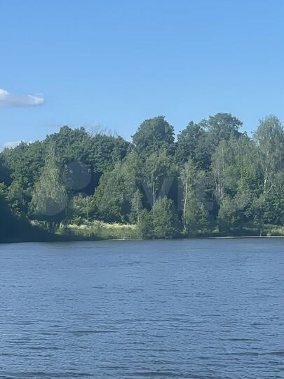 Участок 55 сот. (ИЖС)