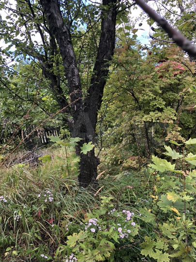 Дача 25 м² на участке 6 сот.