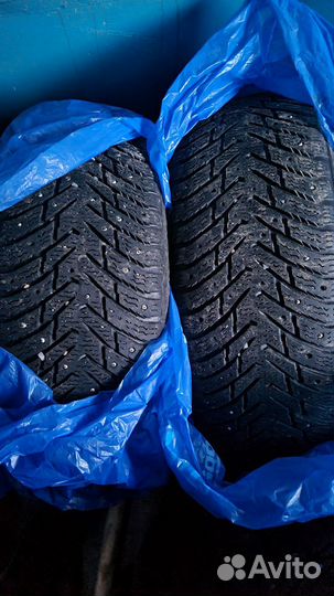 Nokian Tyres Hakkapeliitta 8 205/55 R16