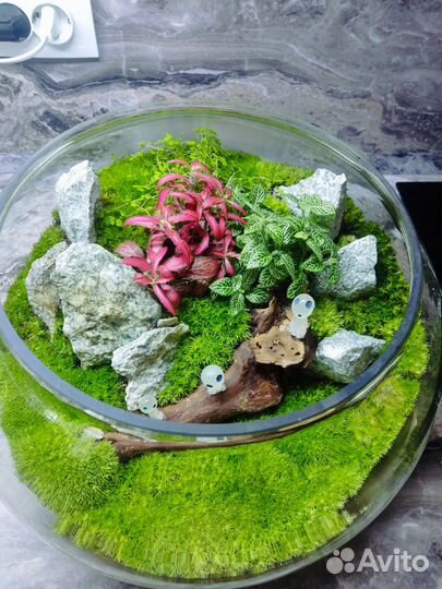 Флорариум 1