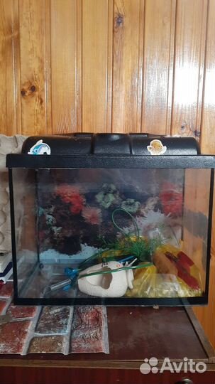 Аквариум
