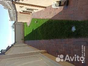 Рулонный газон под ключ