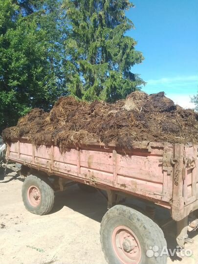 Навоз бесплатно