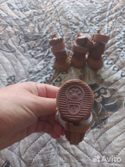 Обувь для маленькой собачки(ботиночки)