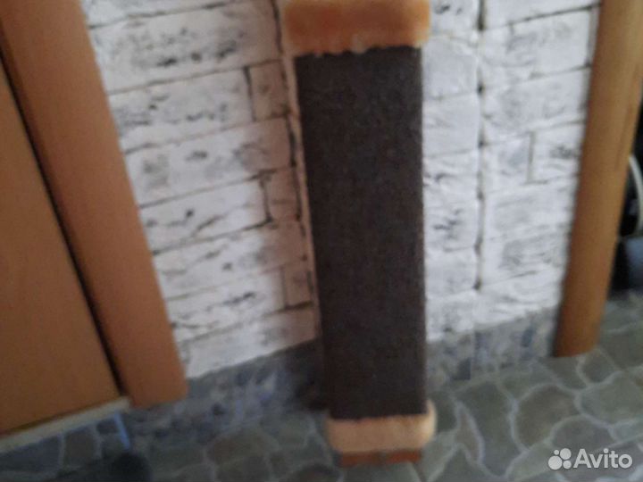Когтеточка для кошек