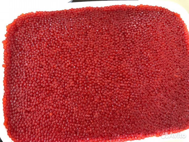 Красная икра Путины 2023 оптом