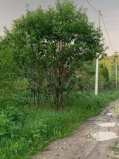 Участок 6 сот. (СНТ, ДНП)