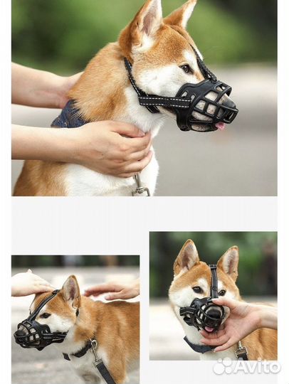 Намордник для собак