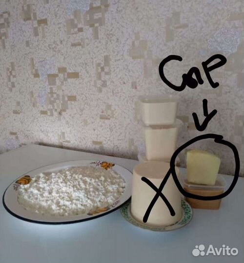 Молоко, сливки, творог