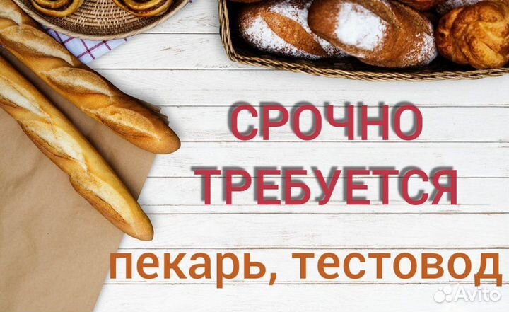 Пекарь-тестовод