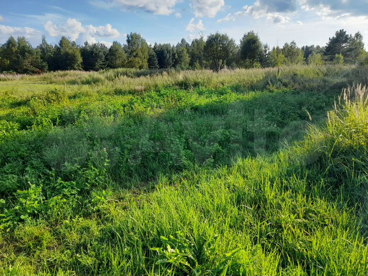 Участок 15 сот. (ИЖС)