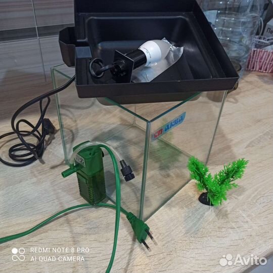Аквариум с фильтром и светом