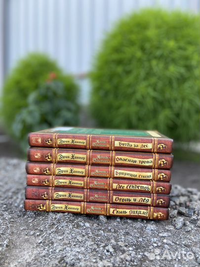 Коты Воители 1 цикл шесть книг