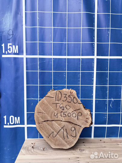 Спил карагач в наличии