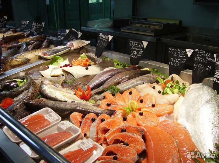 Магазин рыбы и морепродуктов на продажу