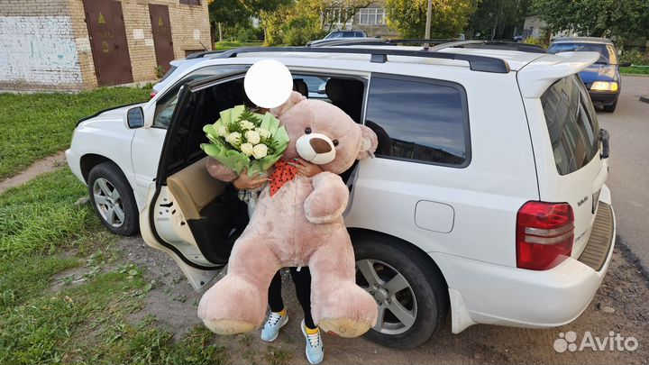 Плюшевый медведь