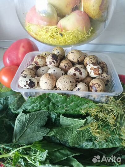 Яйца перепелиные домашние