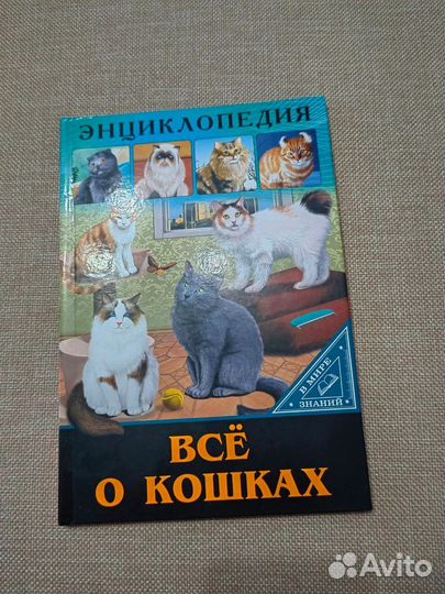 Книги по 100