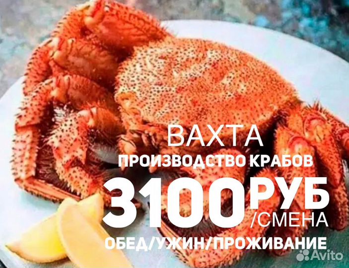 Вахтовый метод обработчик клешней краба В.Новгород