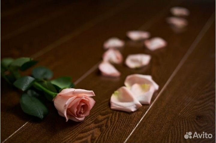 Паркетная доска ясень