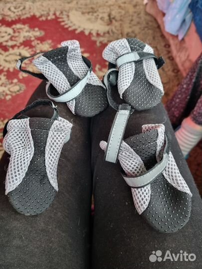 Ботинки обувь для собак